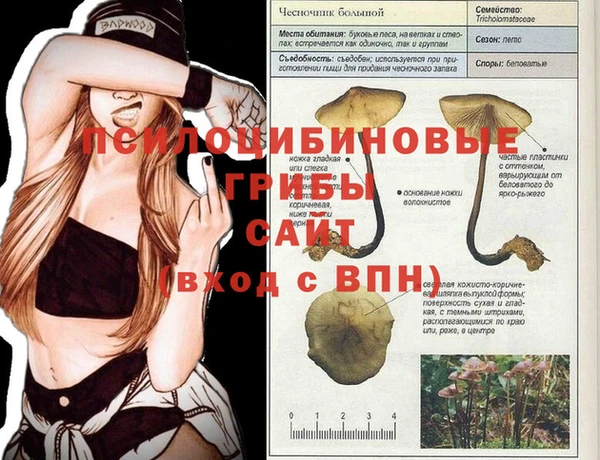 крисы Заволжье