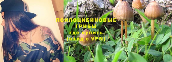 крисы Заволжье