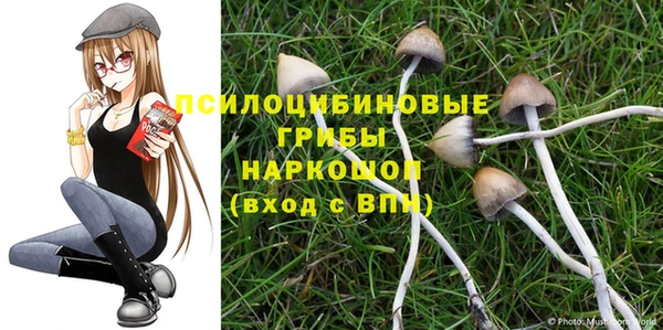 крисы Заволжье