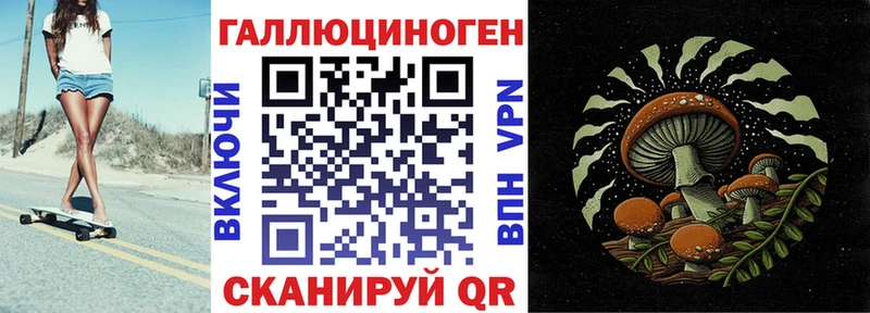 Псилоцибиновые грибы Cubensis  Купить  Завитинск 